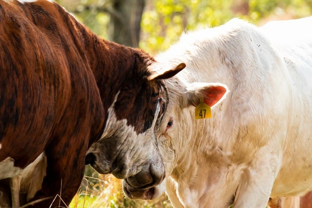 脾胃失调、睡不好、总疲惫一个中医师眼中的中医养生调理真相