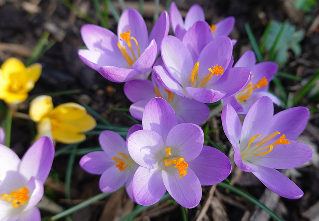 越来越多人重新阅读道教思想：它不是玄，而是现代人真正缺的生活能力