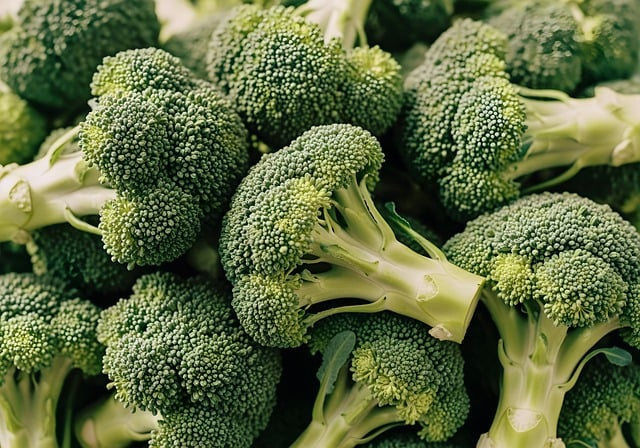 从历史误读到真实风骨：屈原的生平事迹，远不止“投江殉国”那么简单