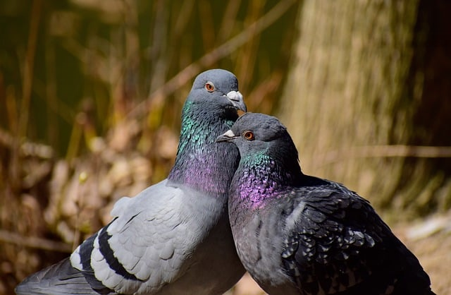 孔子关于教育的名言，为什么到2026年仍在击中家长和老师的焦虑