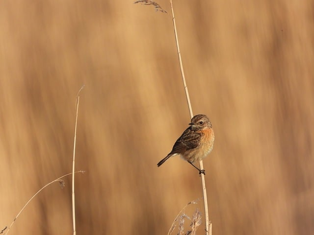 熬夜党也能学会爱自己：中医养生课程给身心的一份“补课”